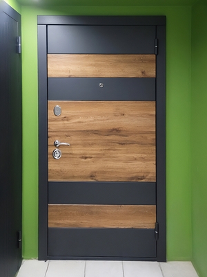 Двухцветная квартирная дверь