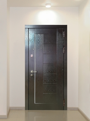 МДФ дверь с молдингом МДФ дверь с молдингом